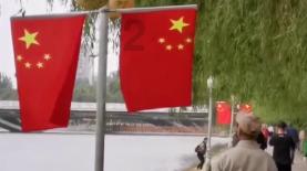 解锁吉鹿力问答社区,探索